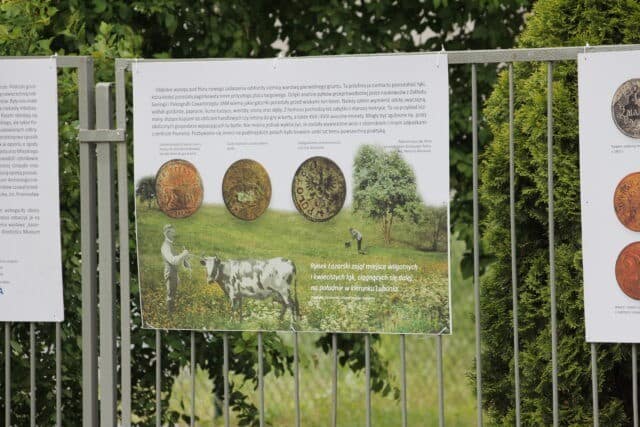 Trochę Łazarza na Grunwaldzie